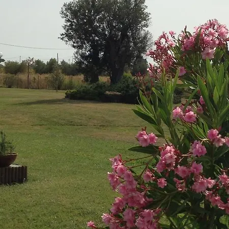 Cernaia * Castiglione della Pescaia